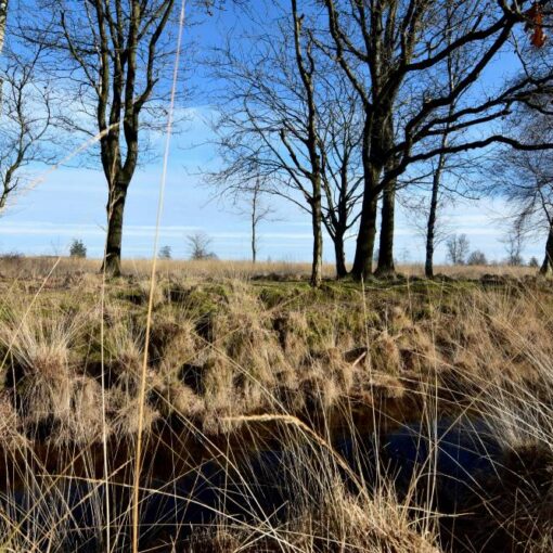 buiten vergaderen Drenthe