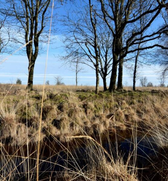 buiten vergaderen Drenthe