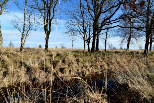 buiten vergaderen Drenthe