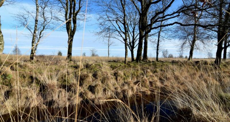 buiten vergaderen Drenthe